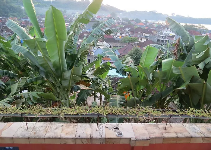 Ostello Lemon House